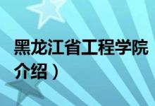 黑龙江省工程学院（关于黑龙江省工程学院的介绍）