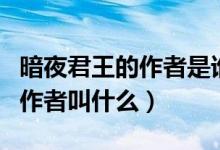 暗夜君王的作者是谁谁告诉我啊（暗夜君王的作者叫什么）