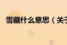 雪藏什么意思（关于雪藏什么意思的介绍）