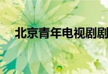 北京青年电视剧剧情（讲的是什么故事）