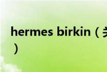 hermes birkin（关于hermes birkin的介绍）