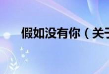 假如没有你（关于假如没有你的介绍）