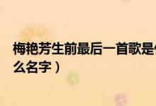 梅艳芳生前最后一首歌是什么（梅艳芳生前最后一首歌叫什么名字）