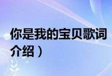 你是我的宝贝歌词（关于你是我的宝贝歌词的介绍）