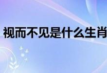 视而不见是什么生肖（视而不见是哪个生肖）