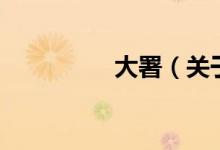 大署（关于大署的介绍）