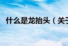 什么是龙抬头（关于什么是龙抬头的介绍）