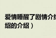 爱情睡醒了剧情介绍（关于爱情睡醒了剧情介绍的介绍）