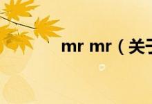 mr mr（关于mr mr的介绍）
