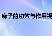 麻子的功效与作用视频（麻子的功效与作用）
