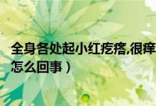 全身各处起小红疙瘩,很痒怎么回事（全身起小红疙瘩还很痒怎么回事）