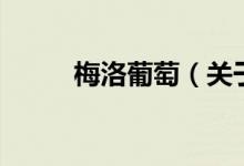 梅洛葡萄（关于梅洛葡萄的介绍）