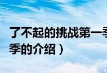 了不起的挑战第一季（关于了不起的挑战第一季的介绍）