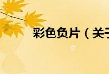 彩色负片（关于彩色负片的介绍）