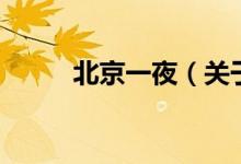 北京一夜（关于北京一夜的介绍）