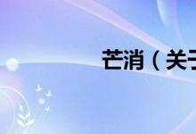 芒消（关于芒消的介绍）