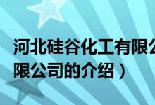 河北硅谷化工有限公司（关于河北硅谷化工有限公司的介绍）