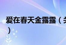 爱在春天金露露（关于爱在春天金露露的介绍）