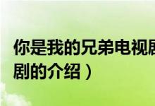 你是我的兄弟电视剧（关于你是我的兄弟电视剧的介绍）