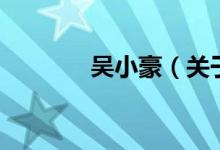 吴小豪（关于吴小豪的介绍）