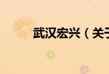 武汉宏兴（关于武汉宏兴的介绍）