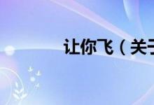 让你飞（关于让你飞的介绍）