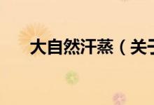 大自然汗蒸（关于大自然汗蒸的介绍）