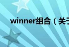 winner组合（关于winner组合的介绍）