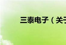 三泰电子（关于三泰电子的介绍）