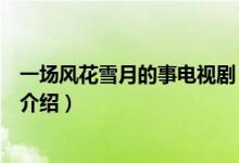 一场风花雪月的事电视剧（关于一场风花雪月的事电视剧的介绍）