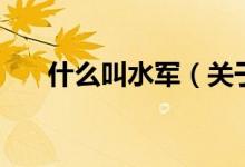什么叫水军（关于什么叫水军的介绍）