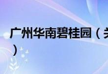 广州华南碧桂园（关于广州华南碧桂园的介绍）