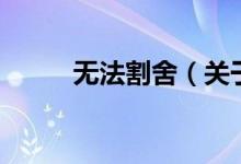 无法割舍（关于无法割舍的介绍）