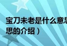宝刀未老是什么意思（关于宝刀未老是什么意思的介绍）
