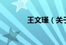 王文瑾（关于王文瑾的介绍）