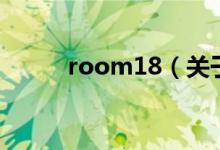 room18（关于room18的介绍）