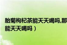 胎菊枸杞茶能天天喝吗,那多久和一次比较好呢（胎菊枸杞茶能天天喝吗）