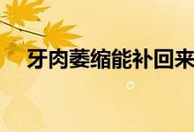 牙肉萎缩能补回来吗（牙肉萎缩怎么办）