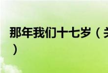 那年我们十七岁（关于那年我们十七岁的介绍）