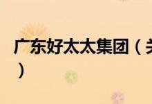 广东好太太集团（关于广东好太太集团的介绍）