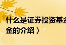 什么是证券投资基金（关于什么是证券投资基金的介绍）