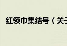 红领巾集结号（关于红领巾集结号的介绍）