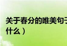 关于春分的唯美句子（关于春分的唯美句子有什么）