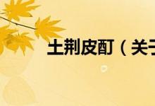 土荆皮酊（关于土荆皮酊的介绍）