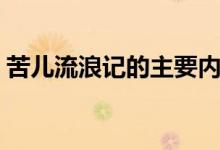 苦儿流浪记的主要内容（苦儿流浪记的结局）