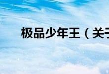 极品少年王（关于极品少年王的介绍）