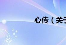 心传（关于心传的介绍）