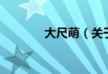 大尺萌（关于大尺萌的介绍）