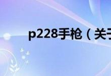 p228手枪（关于p228手枪的介绍）