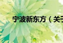 宁波新东方（关于宁波新东方的介绍）